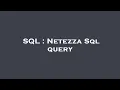SQL Netezza Sql query