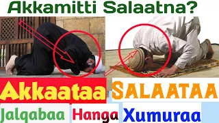 Akkaataa Salaata Itti Salaatan Jalqabaa Hanga Xumuraa صفة صلاة النبي 