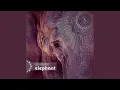 Download Lagu The Elephant (Original Mix)