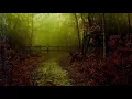 2 Hours Rain & Flute of North Americans. Native American Flute. Most amazing relaxing music & video!