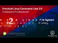 Tips Autocompletion History and Clear the Terminal - Practical Linux Command Line 2 0