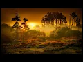 Monolink "Frozen" [Rodriguez Jr Remix]