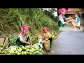 Download Lagu Mother picked a lot of mangoes in the forest, then sold them and took care of her daughter.