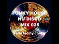 FUNKY HOUSE & NU DISCO mix 025