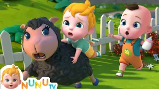 Download Baa Baa Black Sheep Song | Nursery Rhymes \u0026 Kids Songs | NuNu Tv Baby Songs MP3