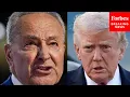 What Callousness What Cold-Heartedness Chuck Schumer Tears Into Trump Over Childcare Cuts
