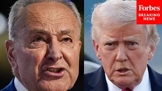 What Callousness What Cold-Heartedness Chuck Schumer Tears Into Trump Over Childcare Cuts