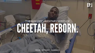 Cheetah, Reborn - Intro
