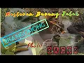Download Lagu Masteran suara burung jalak bisa ngomong,denger pasti ikutan bicara plus gacor..