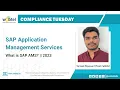 SAP AMS Explained Streamline Business Operations with SAP Application Management Services Webtel