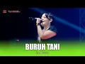 Download Lagu BURUH TANI - ICHA KISWARA - OM SAVANA SAKJOSE - PESTA RAKYAT TERPATIH  ( HUT KARANG TARUNA BAKTI )