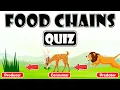 Food Chains Quiz for Kids Exploring Energy Flow in Ecosystems Roles of Organisms in Food Chains