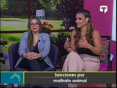 Sanciones por maltrato animal