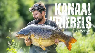 Meteen de topvis van het kanaalstuk! | Kanaalkriebels | Afl. 1