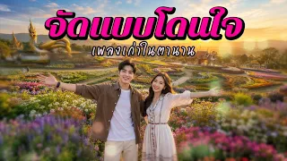 จัดแบบโดนใจ เพลงเก่าในตำนาน #รวมเพลงลูกทุ่ง