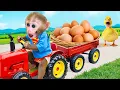 Download Lagu Monyet Bon Bon Imut memanen telur dan membeli camilan di supermarket