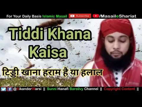 Tiddiyo Ka Hamla | Tiddi Khana Kaisa | Islam Me Tiddi Halal Hai Ya Haram