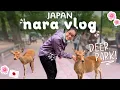 Download Lagu NARA DEER PARK 🦌 10 Minutes of Pure Deer Joy in Japan