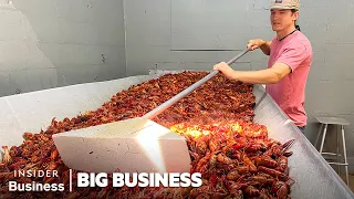 How A Louisiana Crawfish Company Harvests 60 000 Pounds A Day Big Business Business Insider
