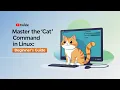 Master The Cat Command In Linux Beginner s Guide To The Linux Command Line Tutorial