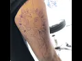 tattoo Big cat Tattoo on the butt shaded the ribs and big leopard