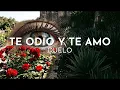Duelo - Te Odio Y Te Amo (Visualizer)