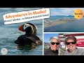 Alaska s hidden gem Discover the stunning town of Homer