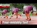 Aping the animals: 'All-fours' runner smashes 100m recordーNHK WORLD-JAPAN NEWS