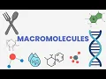 Macromolecule Comparison