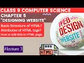 Basic Structure of HTML Class 9 Computer Science Chapter 5 Lecture 3 Limitless Education