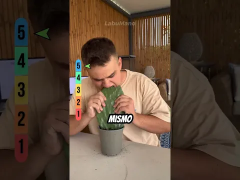 PLANTAS que JAMÁS debes TOCAR ☠️