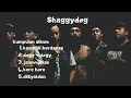 Download Lagu Kumpulan lagu shaggydog enak di dengar kembali berdansa dogy - dogy jalan jalan kere hore di syaidan