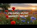 Escape to a Field of Poppies 4 Hours of Calm for Deep Anxiety Relief