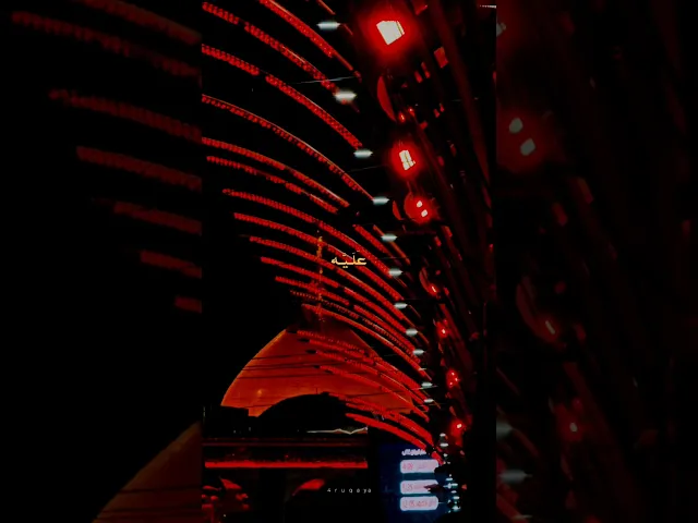 ⁣كام وصاح يا زينب علي راح وظلمت الدنيا عليه ..#الشيخ_شبر_معله