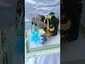Hantaran Nikah #hantaran