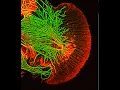 Suter Lab Tour