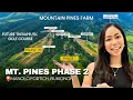 Download Lagu Mt. Pines Phase 2: Preselling Farm Lots in Dahilayan Bukidnon