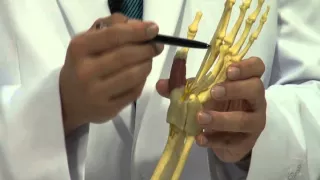 โรคมือชาเกิดจากสาเหตุอะไร และมีอาการอย่างไรบ้าง