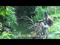 Download Lagu Agus kotak mancing