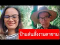 Download Lagu ด่วนป้าแต๋นสั่งงานตาชาน