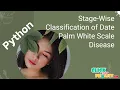 Python Image Processing - ML Based Framework for a Stage-Wise Classification
