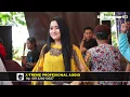 Download Lagu Dermayu Hongkong - Silvi Erviany - Arnika Jaya Live Kebon Danas Pusakajaya Subang