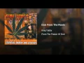 Dub From The Roots