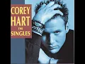 Sunglasses At Night - Corey Hart