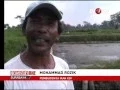 Download Lagu DOCUMENTARY ONE SURABAYA: Potensi Budi Daya Ikan Hias Kediri - tvOne Surabaya