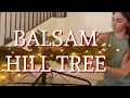 WE GOT A GIANT CHRISTMAS TREE 15 foot Balsam Hill Tree Review BEST fake Christmas Tree