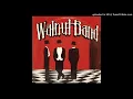 Download Lagu Walnut Band - Seat Belt (1976)