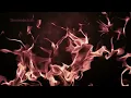 Vigilante Shit (Official Lyric Video) - Taylor Swift