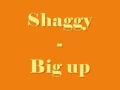 Shaggy - Big up