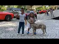 Offset s Kids Kody Kalea Are Dancing to Their New Song Called Lamb Truck